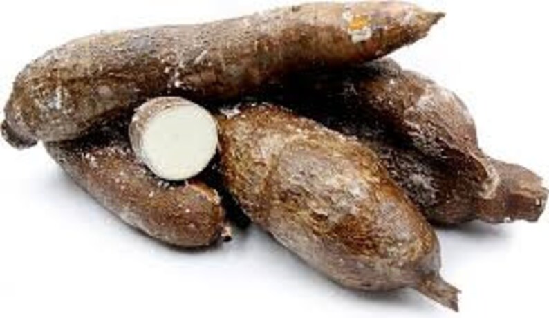 Fresh Yuca Root 5 lbs