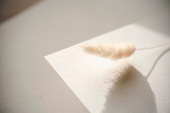 300g Strukturpapier - 10 Bögen I Papier für Einladungskarten I fester Karton für Papeterie I DIN A4