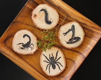 Desert Creepers Wooden Coaster Set - 4 Handmade Coasters (Scorpion, Rattlesnake, Centipede, and Tarantula)