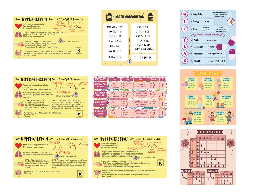 Only PDF BILINGUAL Nursing Flashcards Etsy UK
