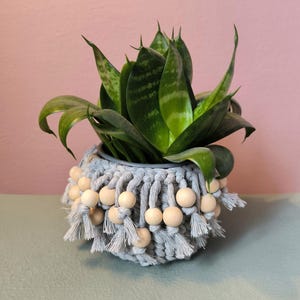 May include: A potted snake plant with green and yellow leaves sits in a gray macrame pot. The pot is decorated with wooden beads and fringe. The background is a solid pink wall and a green surface.