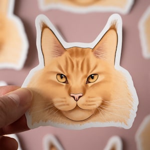 Sticker illustré chat Maine coon