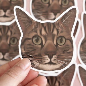 Brown Tabby Cat Illustrated Sticker Vinyl Decal