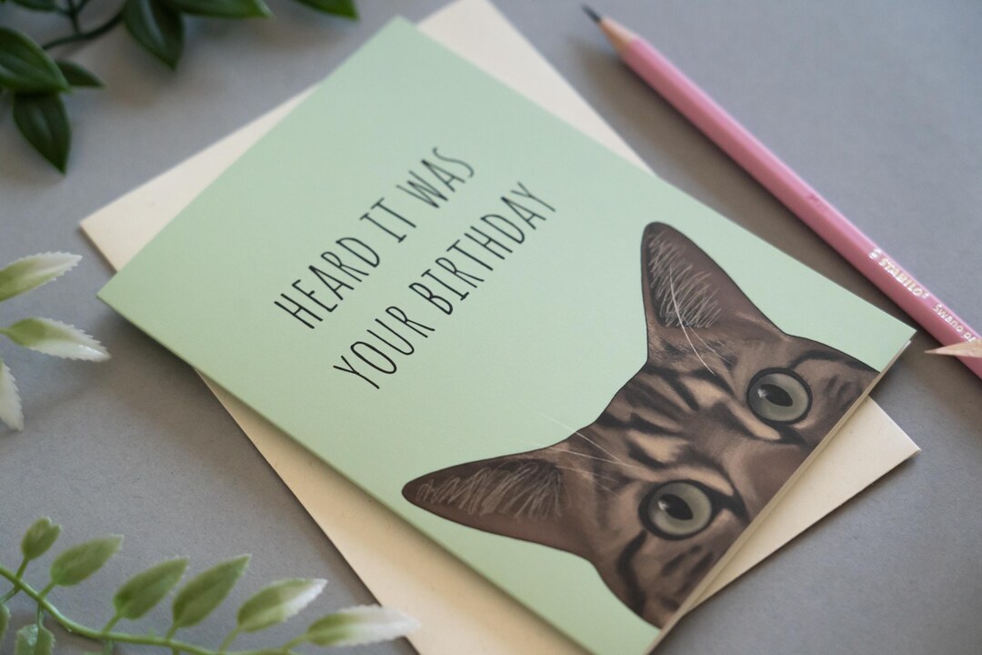 Tabby Cat Birthday Card, Funny Illustrated Card - Etsy
