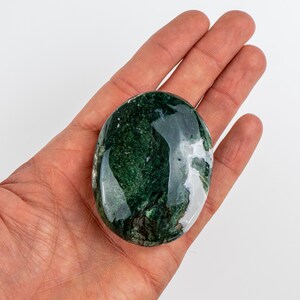 Pu&ograve; includere: Una pietra di agata muschiata lucidata, di forma ovale. La pietra presenta un mix di motivi verde scuro e bianchi, con una superficie lucida e riflettente. La pietra &egrave; tenuta in una mano aperta su sfondo bianco.