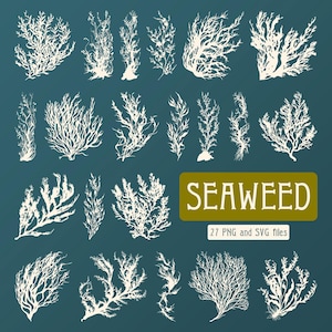 Könnte beinhalten: Ein Set mit 27 weißen Algenillustrationen, perfekt für Bastel- und Designprojekte. Die Illustrationen sind in einem einfachen, minimalistischen Stil gehalten und eignen sich perfekt, um Ihren Arbeiten einen Hauch von Natur zu verleihen.