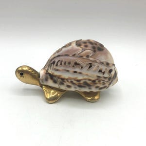 Sea Shell Mounted on Brass Turtle Body, Engraved Dinosaur and title Mauwtius.  Unique collectible.  4" long x 2.5" tall