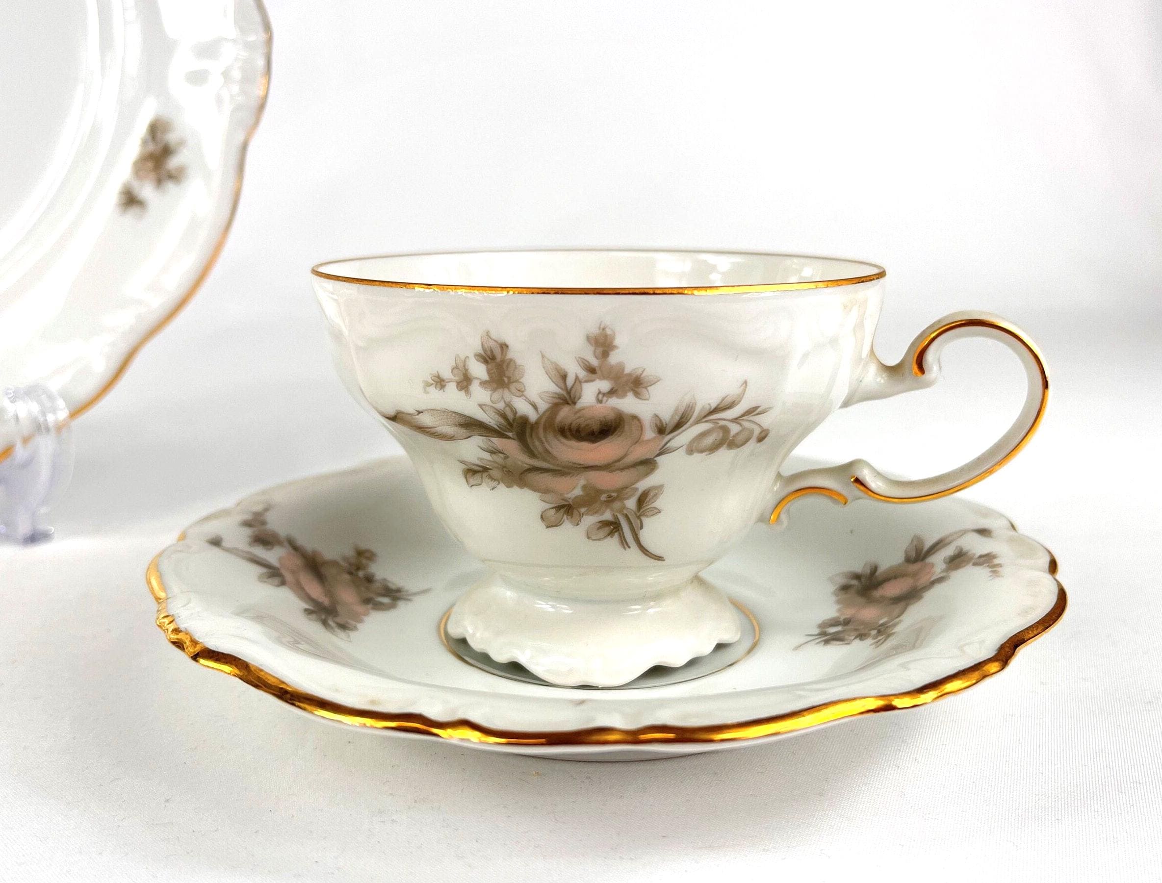 1940's Johann Haviland Bavaria Germany Sepia Rose China 6 Pc Place