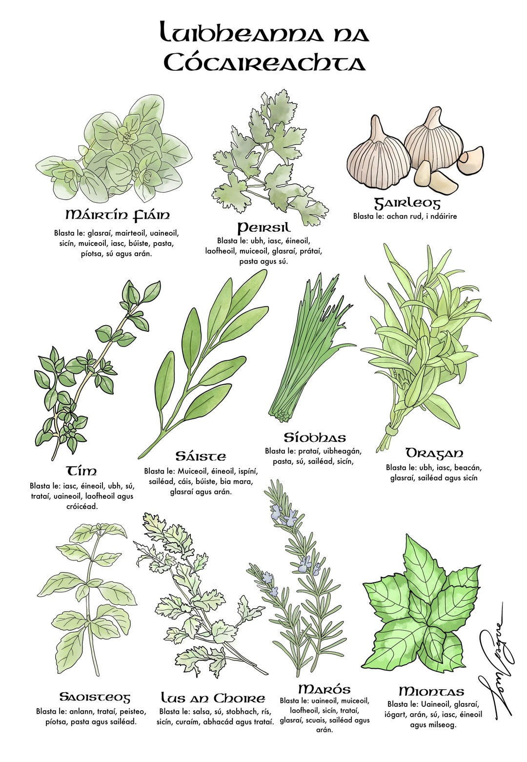 A4 Herbs | Luibheanna - Etsy, image size:1080x1561