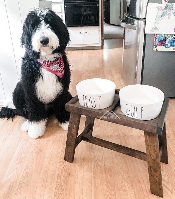 tall dog feeding bowls