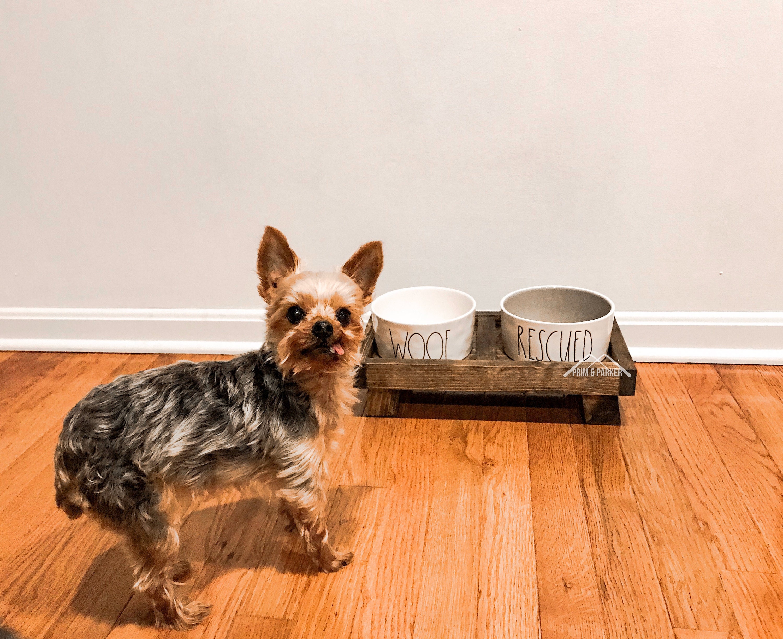 Hundeschale Ständer KLEIN Hund oder Katze Erhöhter Etsy