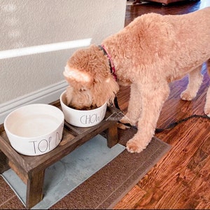 16 elevated dog feeder