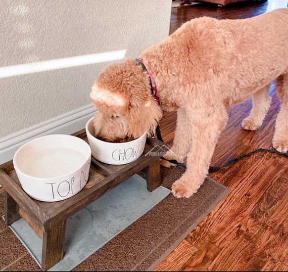 Are Raised Feeding Bowls Good For Dogs