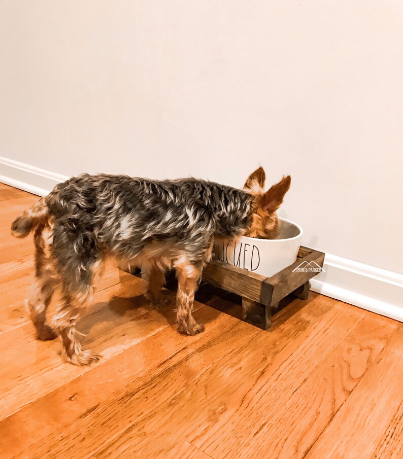 Hundeschale Ständer KLEIN Hund oder Katze Erhöhter Etsy