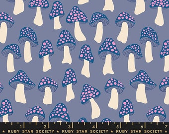 Darlings 2 by Ruby Star Society - Darlings 2 DENIM - Mushrooms - Blue & Pink - Moda Fabrics - RS505713 - Half Yard Increments