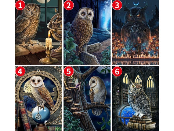 OWL WITH HARRY POTTER Diamond Painting Kit