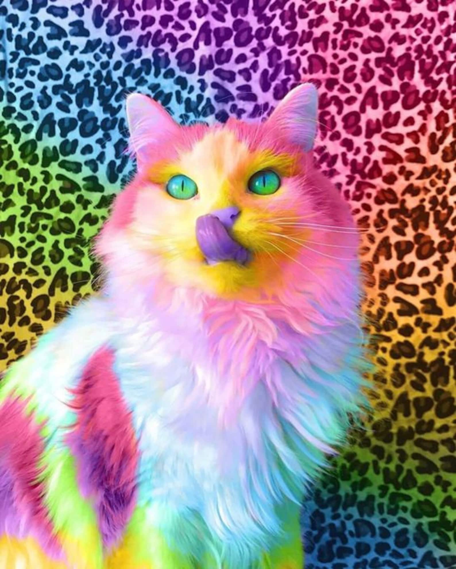 5D DIY Diamond Painting Animal Colorful Cat Cross Stitch Kit Etsy
