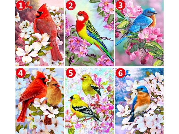5D DIY Diamond Painting Kits Flowers and Birds Full Round With AB Drill  Embroidery Animals Rhinestone Mosaic Home Decoration 