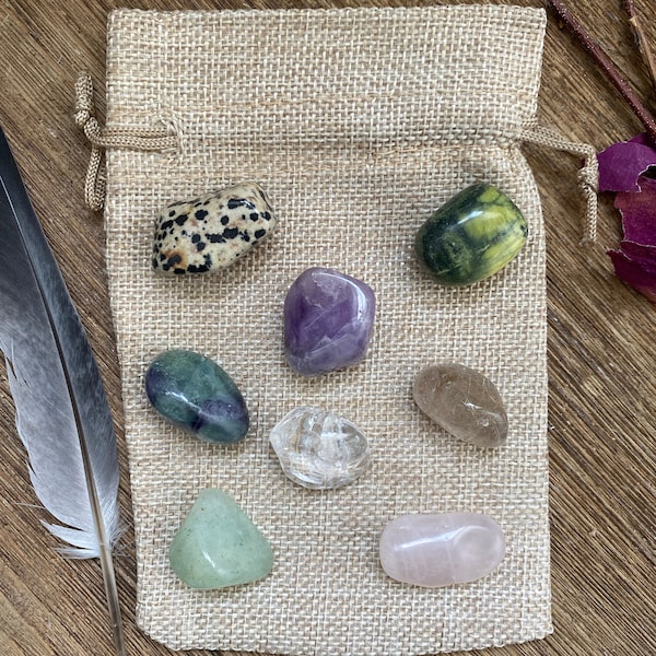 Kit de Cristales para Mascotas