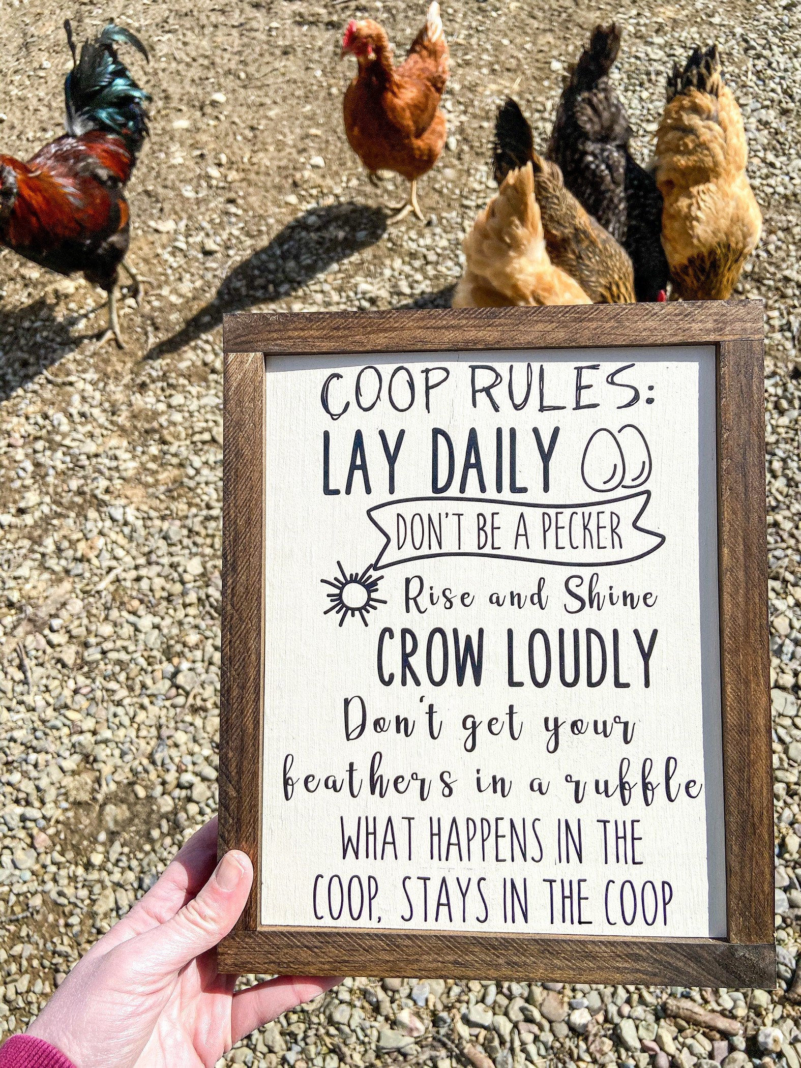 Chicken Coop Sign, Chicken Coop Decor, Crazy Chicken Lady Gift, Chicken Lover's Gift, Chicken Decor Outdoor, Chicken Sign, Chicken Coop