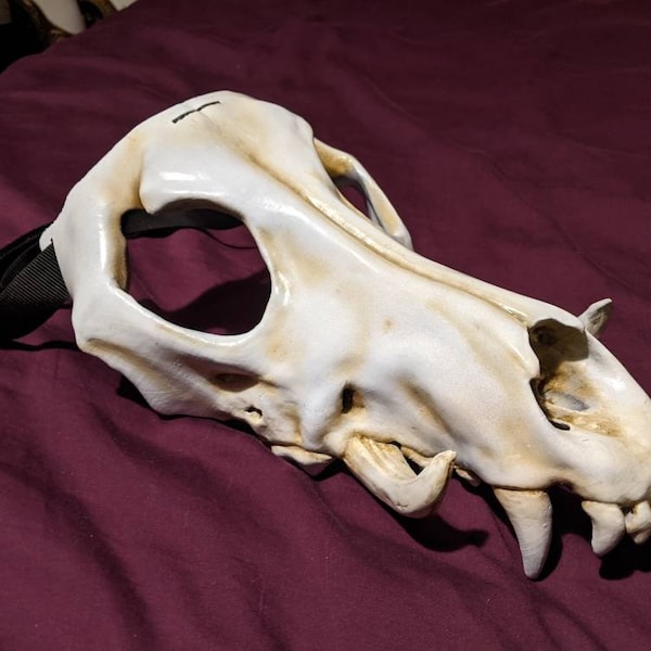 Tusked wolf skull mask