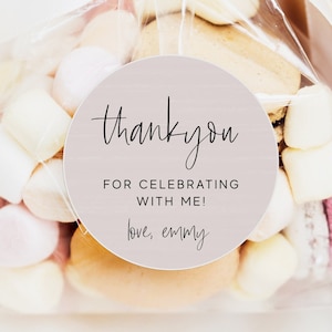 Editable Favor Tag Blush Pink Gift Tags Pink Thank You Tags Pastel Pink Girl Party Decorations Instant Download Printable Template DIY Z170