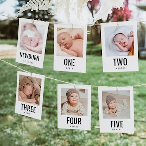 Banner fotografico per il primo compleanno Banner fotografico per il 1° compleanno Cartoline fotografiche mensili minimaliste moderne per il primo compleanno Modello Z7 per banner per il primo anno del bambino