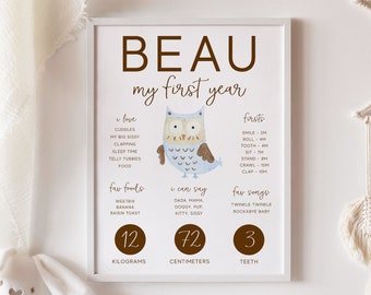 Boy's 1st Birthday Milestone Poster, Editable Printable Blue Owl Rustic Woodland Baby's First Year Stats Instant Download Milestone Sign Z65