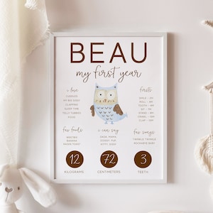 Boy's 1st Birthday Milestone Poster, Editable Printable Blue Owl Rustic Woodland Baby's First Year Stats Instant Download Milestone Sign Z65
