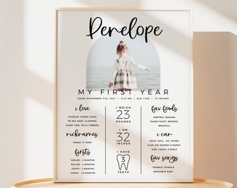 Baby Milestone Board, First Birthday Milestone Poster Template, Editable 1st Birthday Milestone Sign, Milestone Poster 1st Birthday Z0