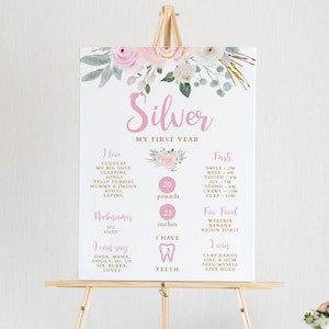 Baby Milestone Board, First Birthday Milestone Poster Template, Editable 1st Birthday Milestone Sign, Watercolor Floral Pink & Gold Z319