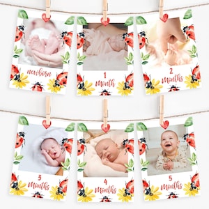 Banner de fotos do primeiro aniversário da Ladybug, modelo editável para impressão, download instantâneo, cartões de marco mensal do primeiro ano do bebê Love Bug Z359