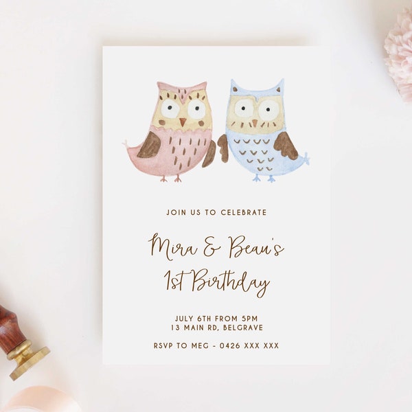 Twin Owls Birthday Invitation, Editable Owl Template Boy & Girl Pink Blue Watercolor Printable Instant Download Kids Party Invite Z65