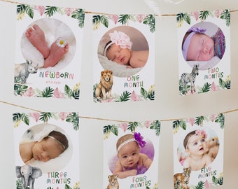 Photo Banner 1-12 Months Template, Pop It 1st Birthday Milestone Garland Girls Editable Printable Instant Download Baby's First Year Z344