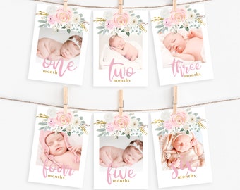 May include: Six white photo cards with pink floral borders and gold text. Each card features a baby in a different pose and the number of months old they are. The text reads "one month", "two months", "three months", "four months", "five months", and "six months".
