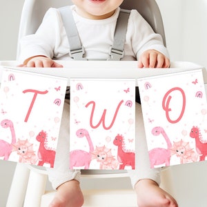 High Chair Banner Editable Template, Printable Instant Download Princess Dinosaur Pink Girls Rainbow 2nd Birthday TWO Bunting Garland Z305