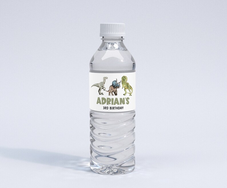 Editable Dinosaur Water Bottle Labels Printable Instant - Etsy