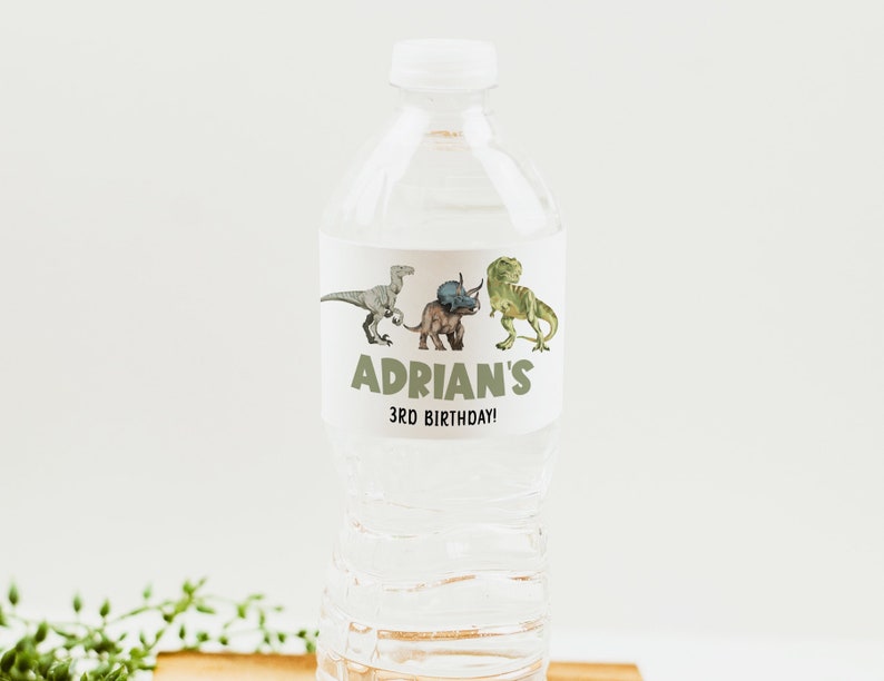 Editable Dinosaur Water Bottle Labels Printable Instant - Etsy