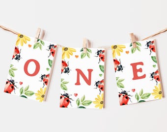 Guirnalda de banderines Love Bug para silla alta, plantilla editable, imprimible, descarga instantánea, DIY, para niñas, mariquita, insecto, UNO, para primer cumpleaños, Z359