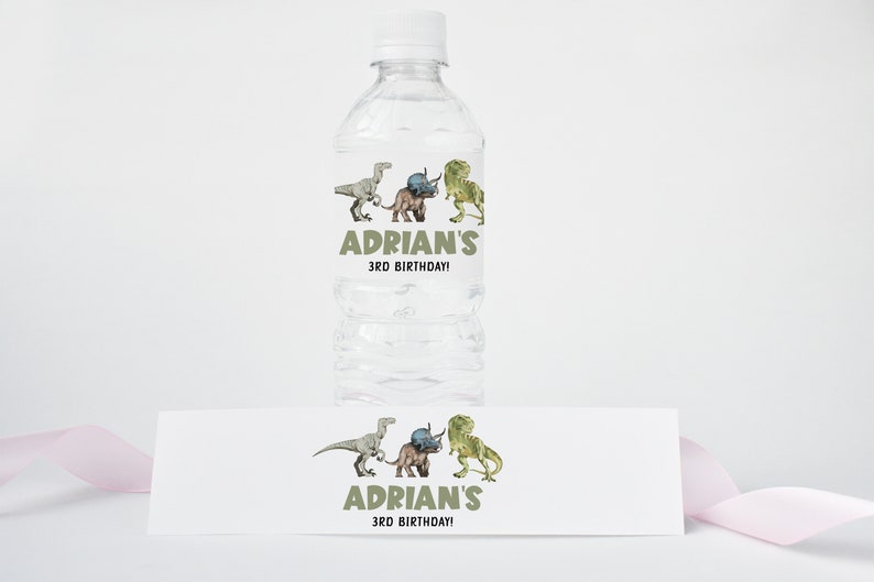 Editable Dinosaur Water Bottle Labels Printable Instant - Etsy