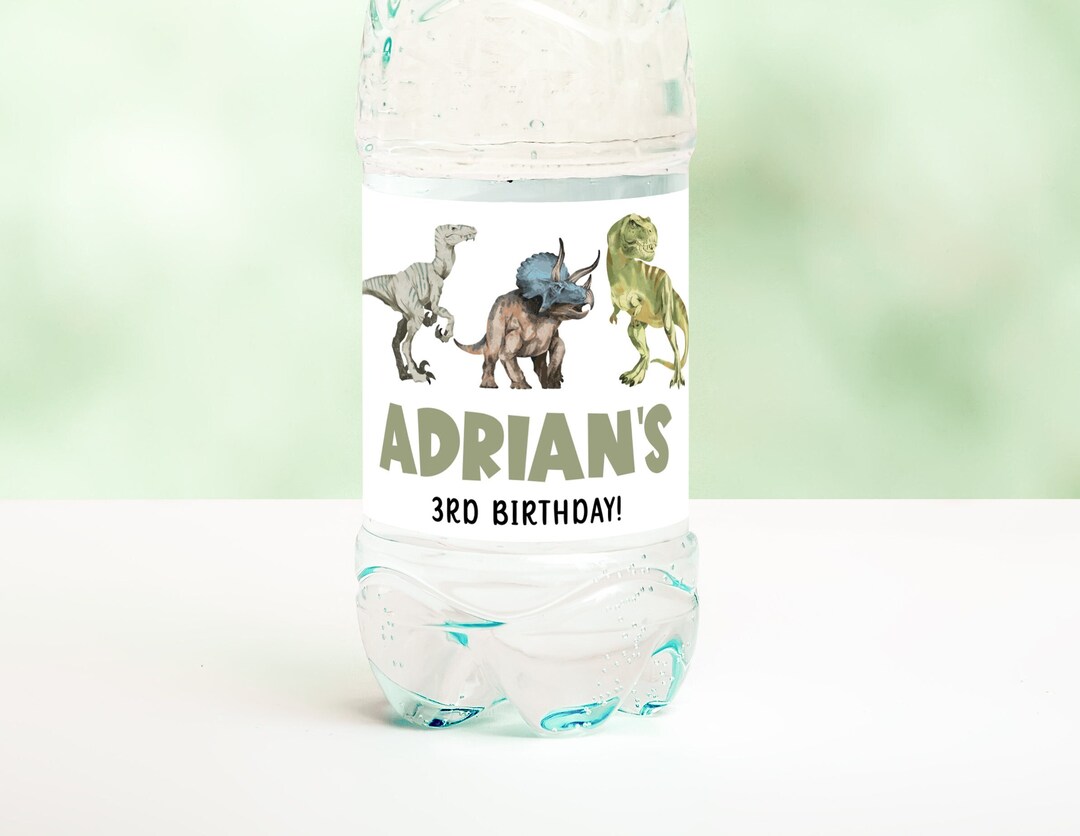 Editable Dinosaur Water Bottle Labels Printable Instant Etsy Australia