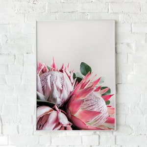 Pink Protea Art Print, Printable Wall Art, Digital Art, Feminine Wall Decor, Floral Wall Decor, Floral Wall Art, Protea Flower Print