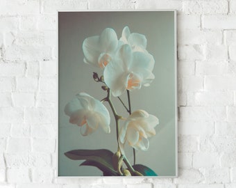 Impresión de arte de orquídea blanca, arte de pared imprimible, impresión de arte minimalista, decoración de pared de dormitorio, decoración de pared Boho, arte de pared de orquídea, impresión botánica