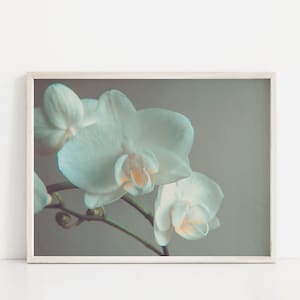 White Orchid Flower Art Print, Printable Wall Art, Minimalist Art, Bedroom Wall Decor, Boho Wall Decor, Orchid Wall Art, Botanical Print