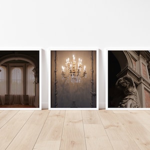 Academia Gallery Wall Set, Academia Wall Art, Moody Art Prints, Academia Print Set of 3, Dark Academia Print Set, Printable Wall Art,