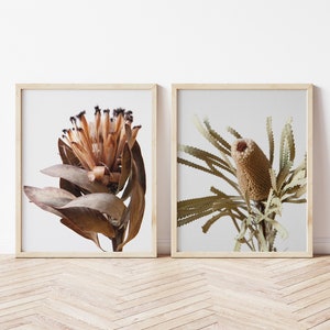 Protea Art Print Set, Printable Wall Art, Modern Wall Decor, Minimal Art Print, Protea Wall Art, Bedroom Wall Art, Bathroom Wall Art