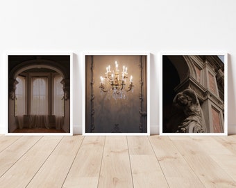 Academia Gallery Wall Set, Academia Wall Art, Moody Art Prints, Academia Print Set of 3, Dark Academia Print Set, Printable Wall Art,