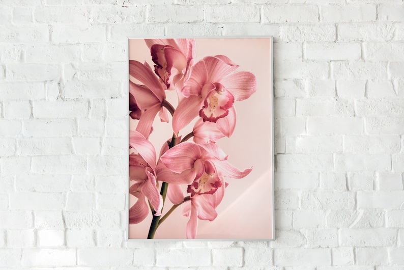 May include: A close-up of a cluster of pink orchids with delicate petals and a soft, pink background.