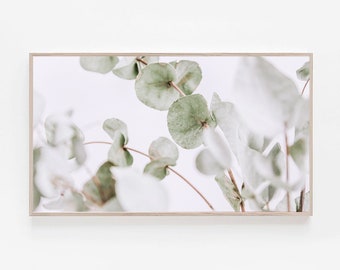 Green Frame TV Art , Frame Tv Art Leaves, Art Frame TV, Nature Art for Tv, Samsung Digital Art, Modern Frame Tv Art, Eucalyptus Digital Art