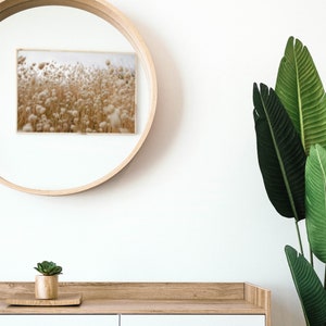May include: A white cabinet with two drawers and a wooden top. A small potted succulent plant sits on the top of the cabinet. A round wooden mirror hangs on the wall behind the cabinet, reflecting a framed photograph of a field of tall grass.